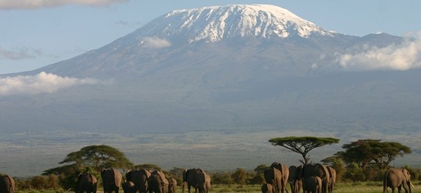 The Big Five Series - Our Top Five Places to See Elephants in Africa