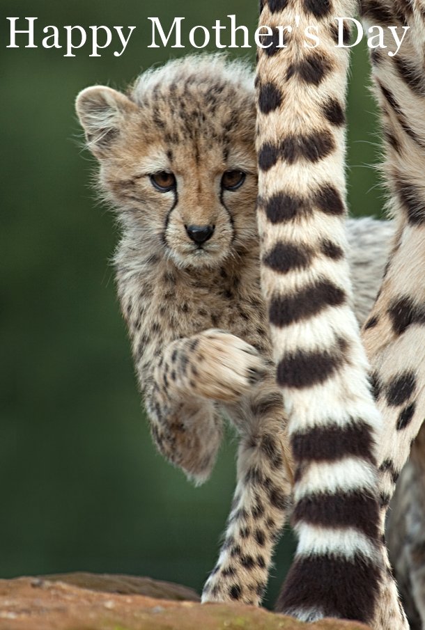 blog hutterstock_69575956