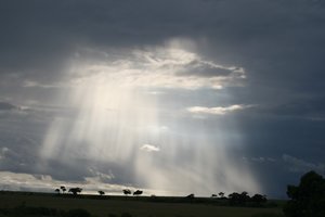 Afternoon storm Afternoon storm in the Mara
