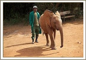 kithaka 817201425740-pic3