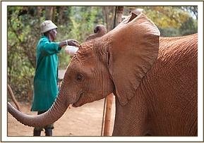 kithaka 86201483828-pic1