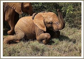 kithaka chilling 97201485352-pic1