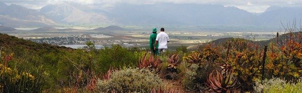 south africa botanic gardens