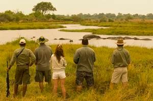 300K&D dsc_0006_hi-res