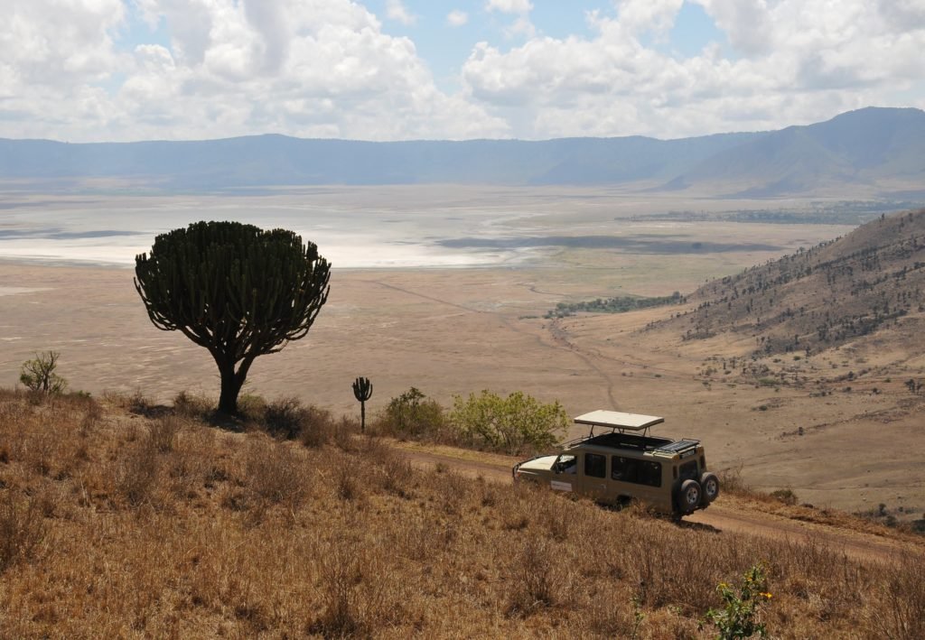 webDSC_0756 - Real Africa Blog webDSC_0756