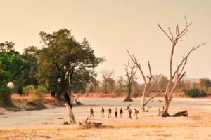 013 Walking Out Of Camp - Real Africa Blog Dry Season