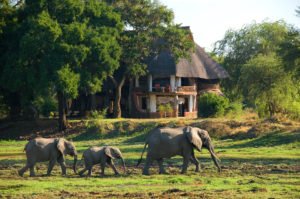 Luangwa Safari house - Real Africa Blog Luangwa Safari House