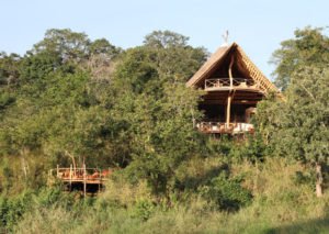 Tongole - Real Africa Blog Tongole