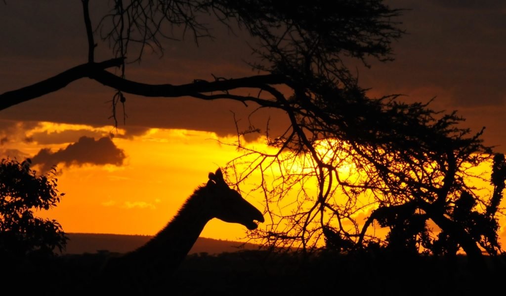 Sunset DSC_8682 - Real Africa Blog Sunset DSC_8682