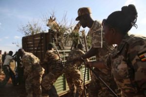 release - Real Africa Blog release