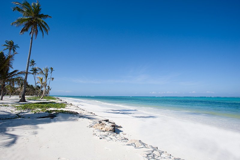 Bwejuu-Beach - Real Africa Blog