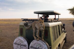 Day 4, Central Serengeti - Real Africa Blog