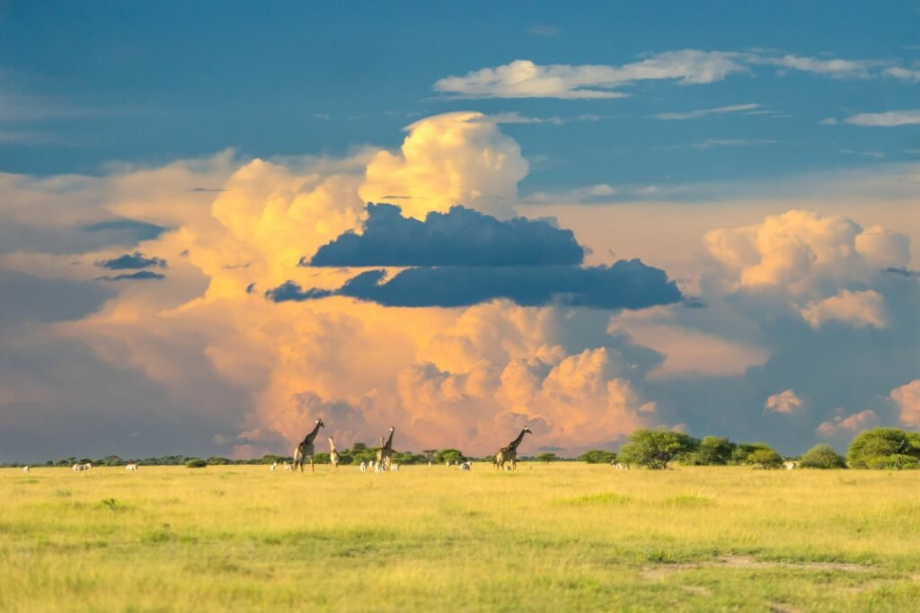 hans-jurgen-mager-vcN7_lk91rM-unsplash(1) - Real Africa Blog