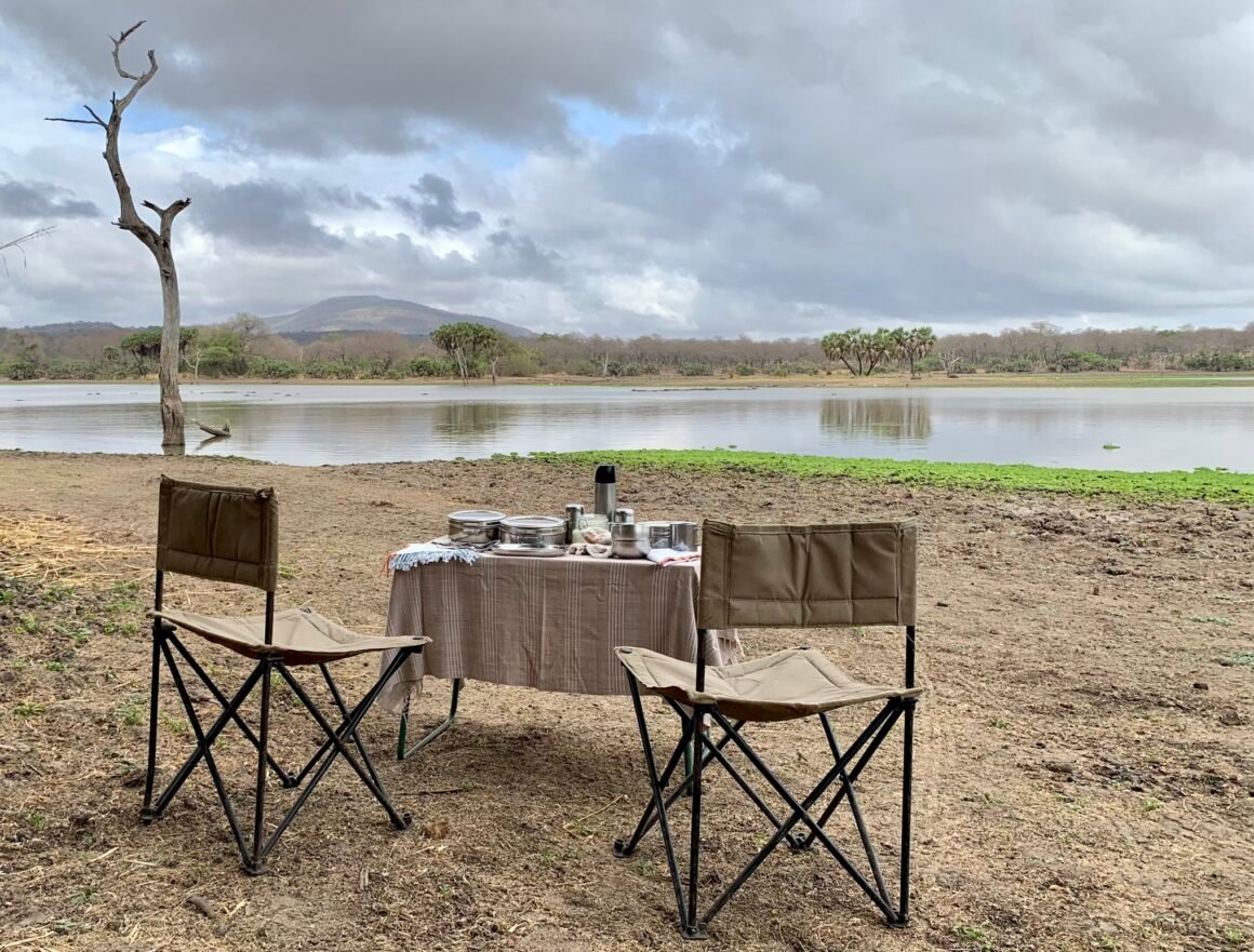 A picnic bush breakfast set up in Nyerere Tanzania on the shores of Lake Tagalala