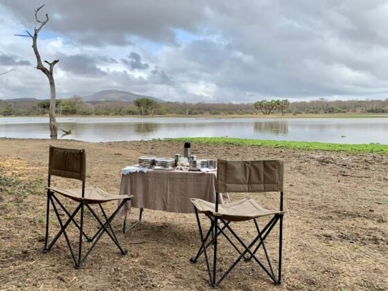 A picnic bush breakfast set up in Nyerere Tanzania on the shores of Lake Tagalala