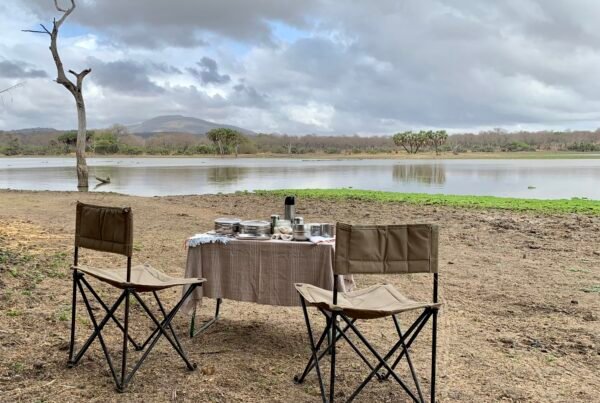 A picnic bush breakfast set up in Nyerere Tanzania on the shores of Lake Tagalala