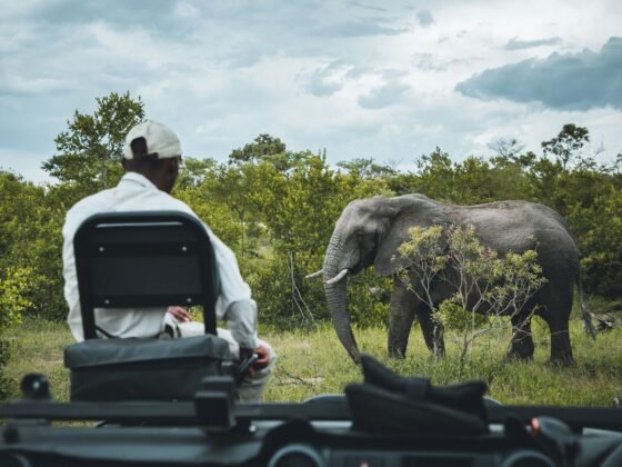 prepare for a great safari